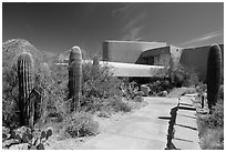 Red Hills Visitor Center. Saguaro National Park ( black and white)