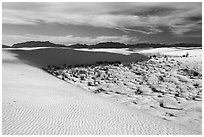 Backcountry camping area. White Sands National Park ( black and white)