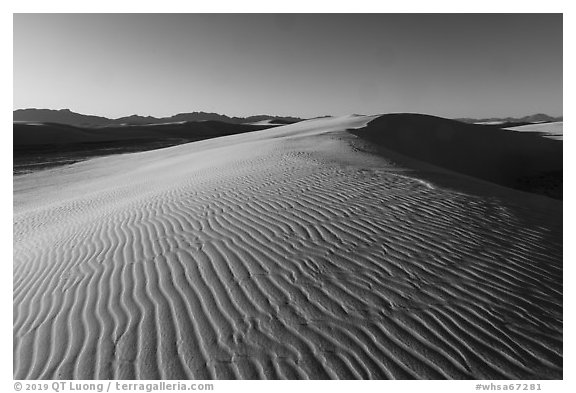 Ripples on gypsum dunes, Heart of the Sands. White Sands National Park (black and white)