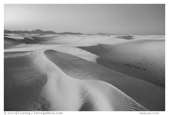 Dunes reflecting lavender colors of the sky at twilight. White Sands National Park (black and white)