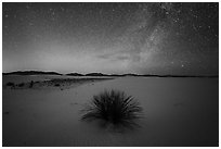 Yucca and Milky Way. White Sands National Park ( black and white)