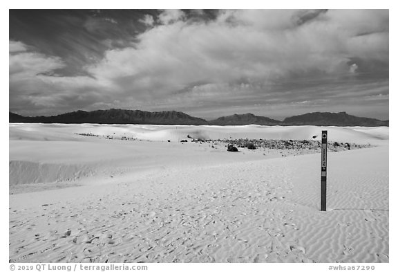 Backcountry trail. White Sands National Park (black and white)
