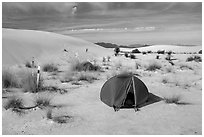 Tent at backcountry campsite. White Sands National Park ( black and white)