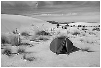 Tent at backcountry campsite. White Sands National Park ( black and white)