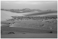 Dunes and flat depression at sunrise. White Sands National Park ( black and white)