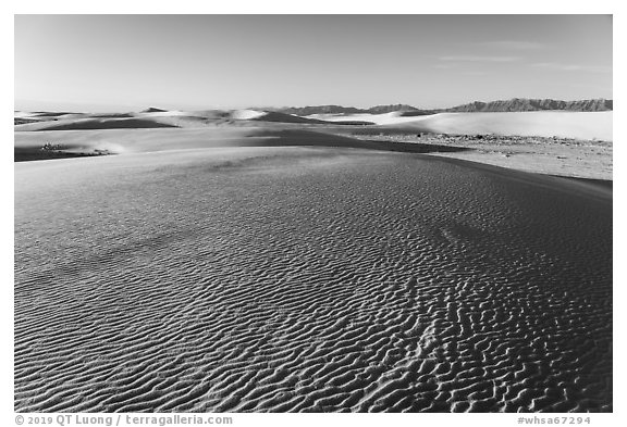 Dune field and Andres Mountains, early morning. White Sands National Park (black and white)