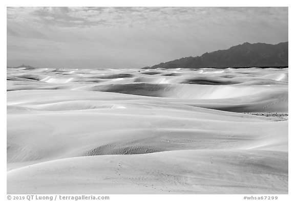 Worlds largest gypsum dune field. White Sands National Park (black and white)
