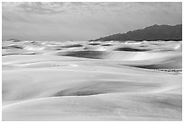 Worlds largest gypsum dune field. White Sands National Park ( black and white)