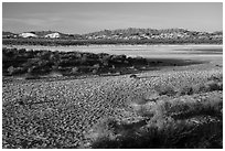 Playa in winter. White Sands National Park ( black and white)