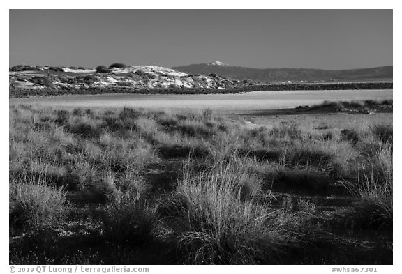 Shrubs, playa, and Sierra Blanca Peak. White Sands National Park (black and white)