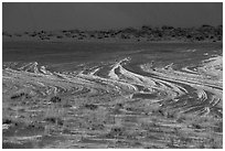 Grasses and dune footprints. White Sands National Park ( black and white)