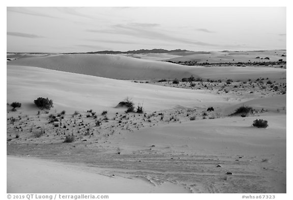 Dunes and interdunal depressions at sunset. White Sands National Park (black and white)