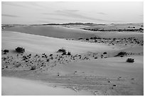 Dunes and interdunal depressions at sunset. White Sands National Park ( black and white)
