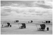 Shelters in picnic area. White Sands National Park ( black and white)