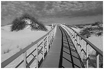 Interdune boardwalk. White Sands National Park ( black and white)