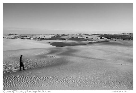 Visitor Looking, sand dunes. White Sands National Park (black and white)