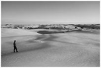 Visitor Looking, sand dunes. White Sands National Park ( black and white)