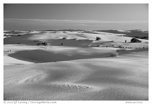 Gypsum sand dunes. White Sands National Park (black and white)
