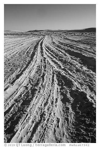 Dune footprints. White Sands National Park (black and white)
