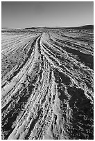 Dune footprints. White Sands National Park ( black and white)