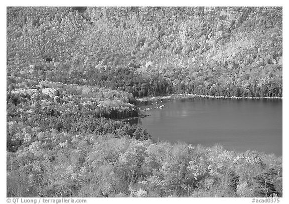Eagle Lake, surrounded by slopes in fall foliage. Acadia National Park (black and white)