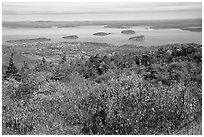 Shrubs and Frenchman Bay from Cadillac mountain. Acadia National Park, Maine, USA. (black and white)
