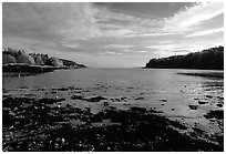 Somes sound. Acadia National Park, Maine, USA. (black and white)