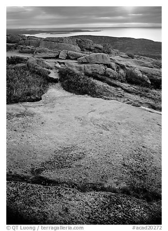 View over Atlantic from top of Mt Cadillac with granite slab covered with lichen. Acadia National Park, Maine, USA.