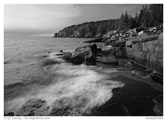 Pink granite slabs on the coast near Otter Point, morning. Acadia National Park (black and white)