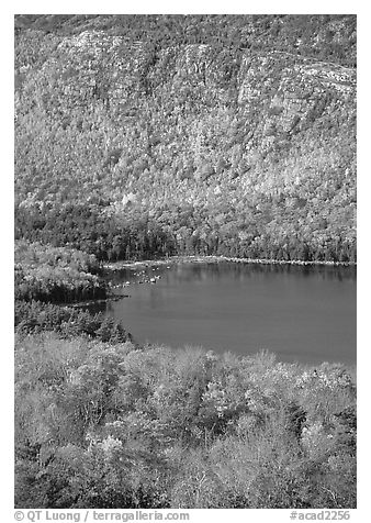 Eagle Lake, surrounded by hillsides covered with colorful trees in fall. Acadia National Park (black and white)