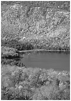 Eagle Lake, surrounded by hillsides covered with colorful trees in fall. Acadia National Park, Maine, USA. (black and white)