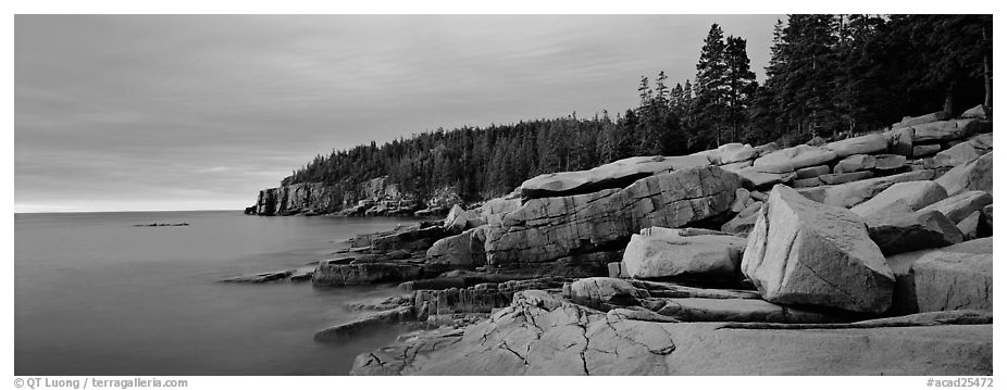 Rocky ocean shore at sunrise, Otter Point. Acadia National Park (black and white)