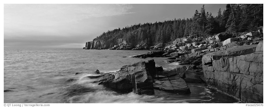 Coastal landscape, Otter Point. Acadia National Park (black and white)