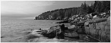 Coastal landscape, Otter Point. Acadia National Park (Panoramic black and white)