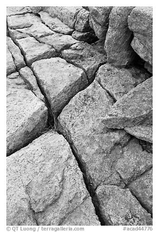 Pink granite slab with cracks. Acadia National Park (black and white)