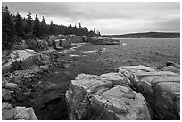 Rugged atlantic seascape near Thunder Hole. Acadia National Park ( black and white)