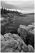 Rocky coastline near Thunder Hole. Acadia National Park ( black and white)