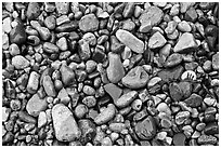 Wet pebbles, Hunters beach. Acadia National Park, Maine, USA. (black and white)