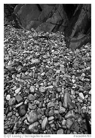Pebbles and rock slabs. Acadia National Park (black and white)