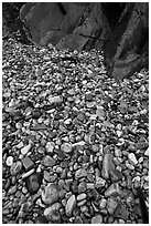 Pebbles and rock slabs. Acadia National Park, Maine, USA. (black and white)