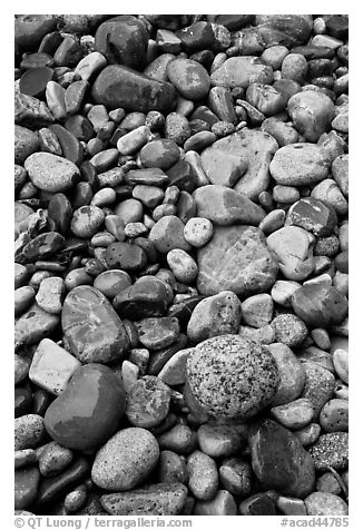 Close-up of multicolored pebbles. Acadia National Park (black and white)