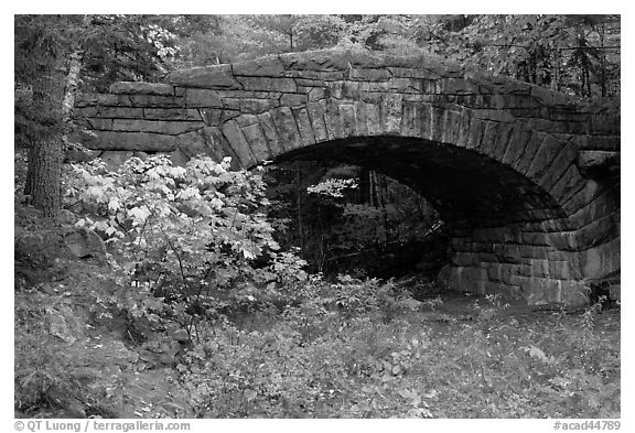 Carriage road bridge. Acadia National Park (black and white)