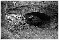 Carriage road bridge. Acadia National Park, Maine, USA. (black and white)