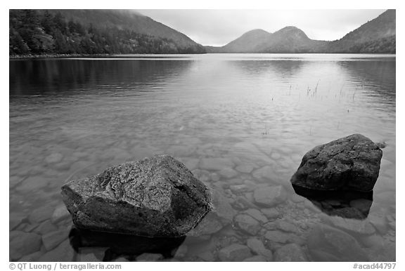 Two boulders in Jordan Pond on foggy morning. Acadia National Park, Maine, USA.