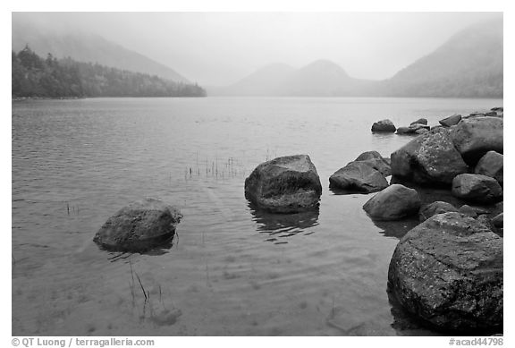 Jordan Pond on misty morning. Acadia National Park (black and white)