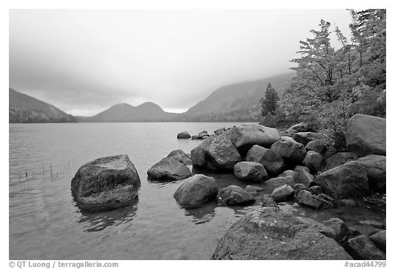 Boulders, autumn colors, and Bubbles, Jordan Pond. Acadia National Park (black and white)