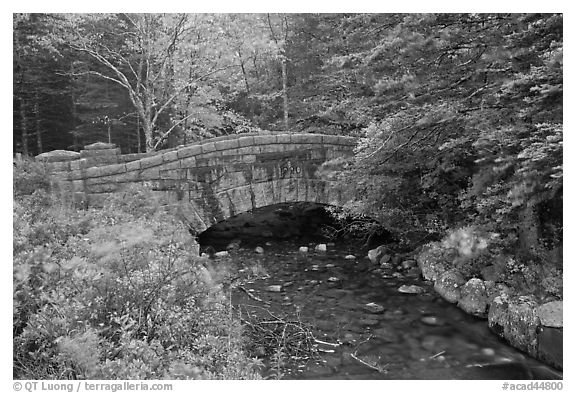 Carriage road bridge crossing stream. Acadia National Park (black and white)
