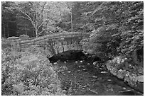 Carriage road bridge crossing stream. Acadia National Park, Maine, USA. (black and white)