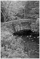 Stone bridge over stream. Acadia National Park, Maine, USA. (black and white)