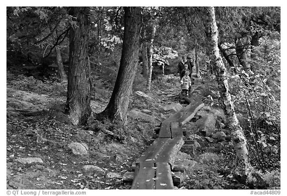 Family hiking on boardwalk. Acadia National Park, Maine, USA.